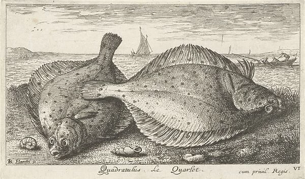 Two plaice on the beach, Louis Bernard Coclers, 1756 - 1817