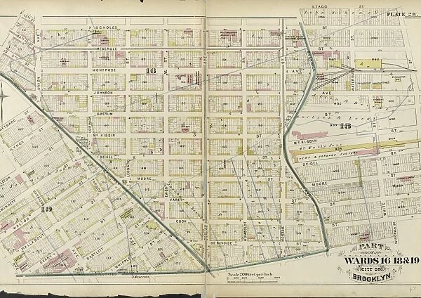 Plate 28: Part of Wards 16, 18 & 19. City of Brooklyn