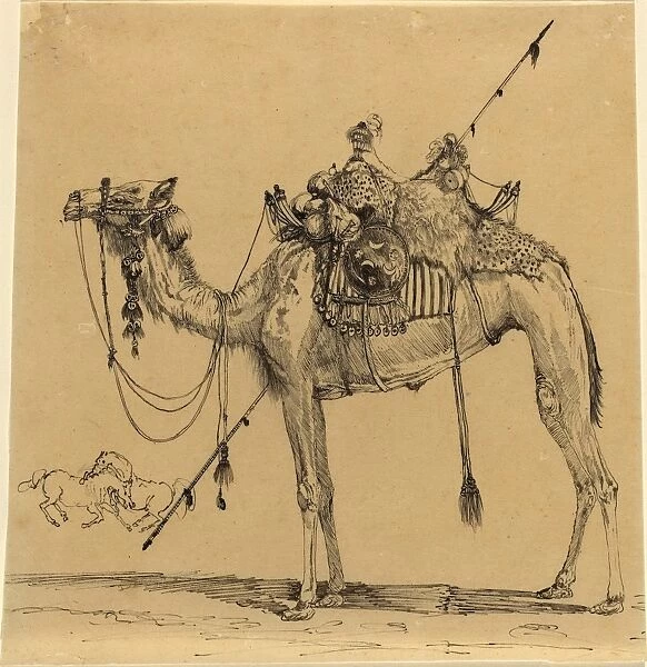 Rodolphe Bresdin (French, 1822 1885), The Camel available as Framed Prints,  Photos, Wall Art and Photo Gifts
