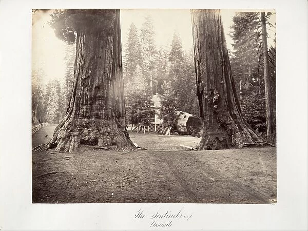 Sentinels 315 feet Yosemite ca 1872 printed ca