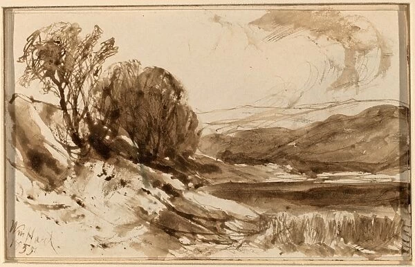 William Hart, Hilly Landscape with Trees, American, 1823 - 1894, 1855, pen and brown