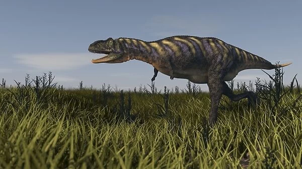 Aucasaurus garridoi, a prehistoric era dinosaur Poster Print by