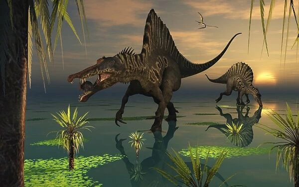 Artists concept of Spinosaurus
