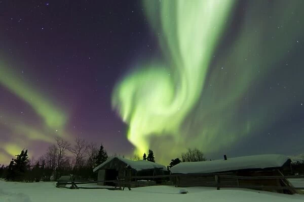 Aurora borealis over a log cabin in Whitehorse, Yukon, Canada