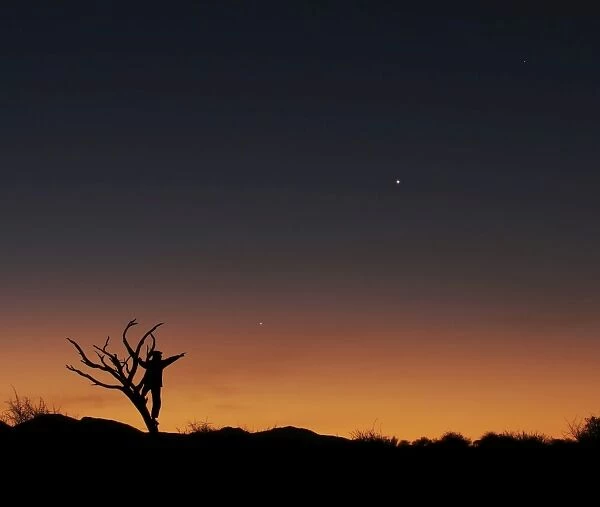 The bare tree and human figure point to the direction of Jupiter, Venus and Mercrury