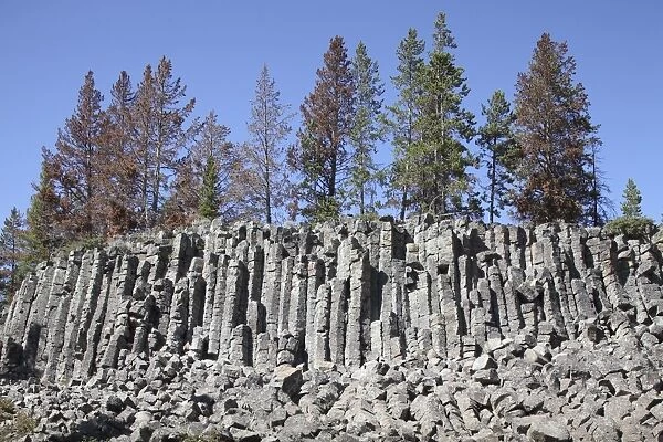 Basalt Columns formed by cooling lava, Yellowstone National Park, Wyoming