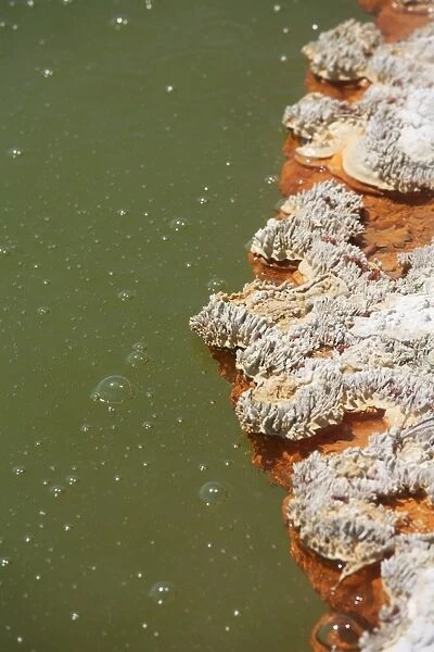 Bubbles rising in Champagne Pool hot spring, Wai-O-Tapu Geothermal area, New Zealand