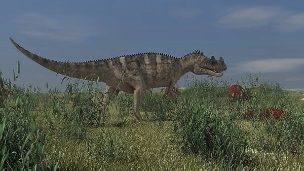 Ceratosaurus hunting in prehistoric grasslands
