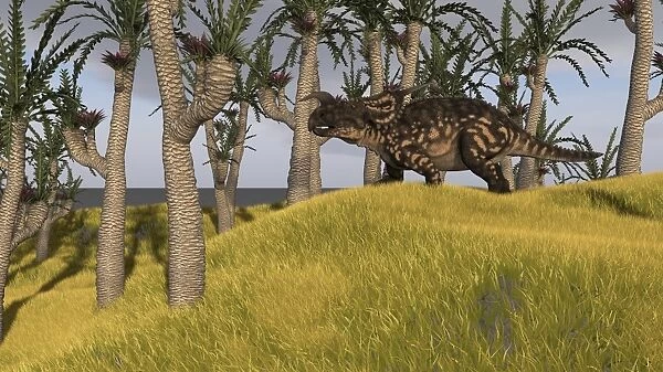 Einiosaurus in a grassy field