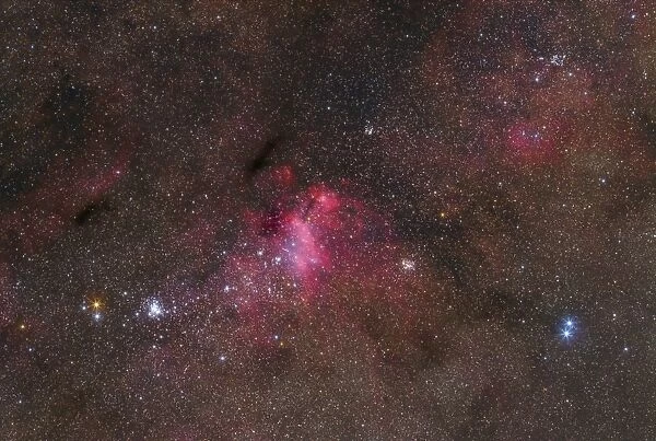 The False Comet Cluster in Scorpius