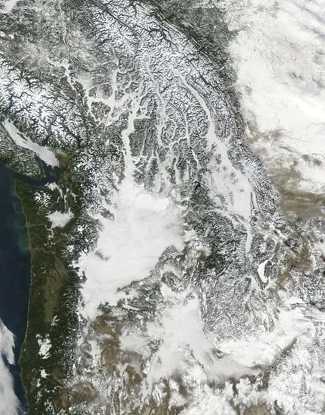 Fog and snow in the Pacific Northwest (true color)