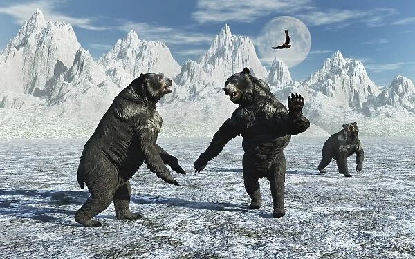 A pair of Arctodus Bears in a territorial dispute
