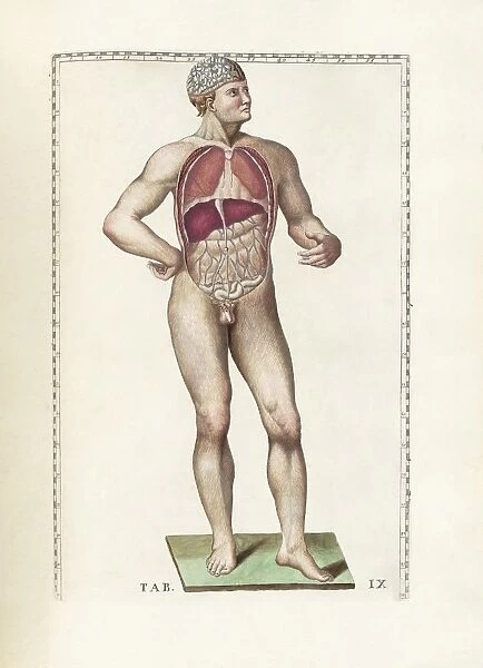 The science of human anatomy by Bartholomeo Eustachi