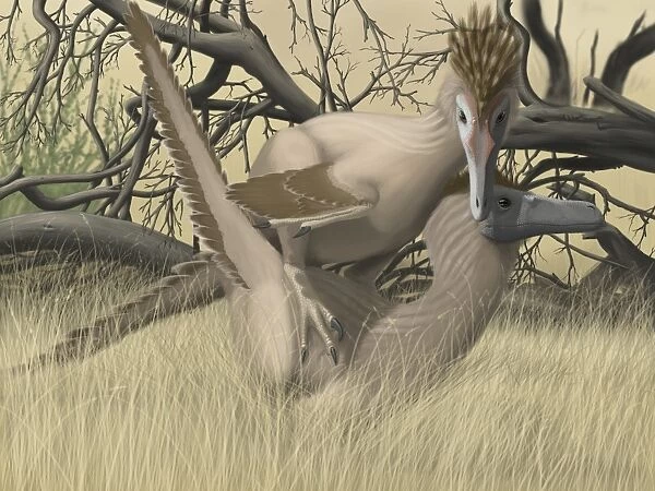 Two Velociraptors during mating season