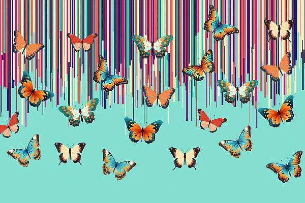 Butterflies Stripes