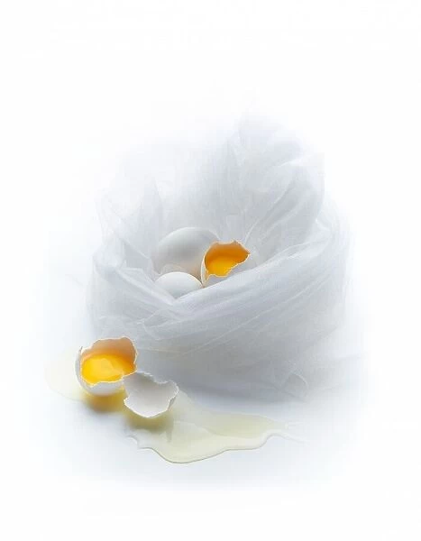 Eggs. Dmitriy Batenko