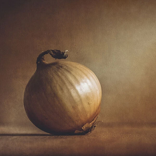 Onion. Kristina Zvinakeviciute