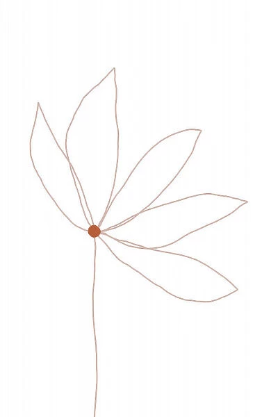 Minimal Flower