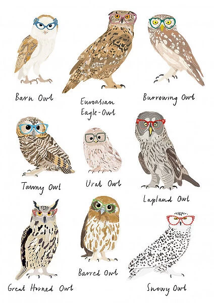 Owls In Glasses Print