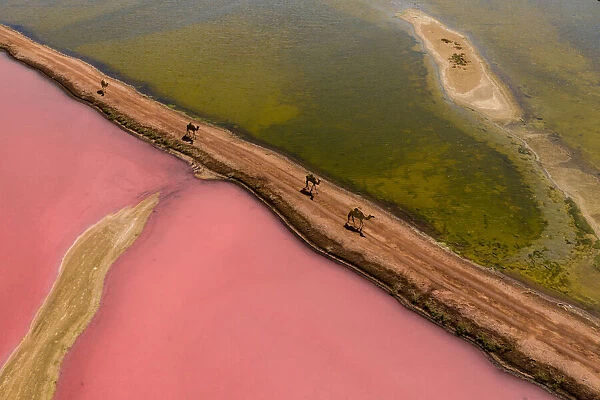 Pink Lake. Haitham AL Farsi