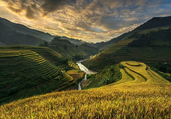 RiceTerrace ( vietnam)