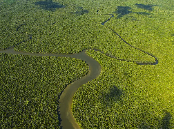 Aerial view of the River Kinabatangan and riverine tropical rainforest, Sabah, Malaysia