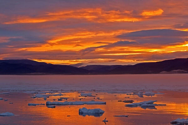 Pack ice at sunset, Wrangel island, Far East Russia