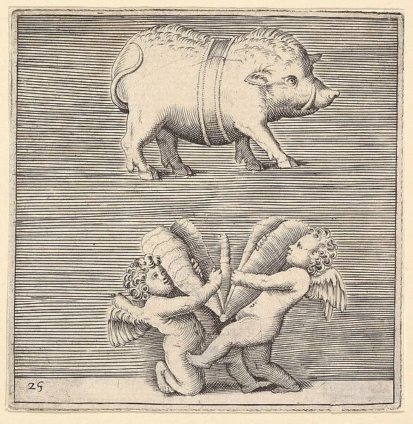 A Belted Pig and Two Cupids (or Geniuses) with a Butterfly (or Moth), published ca