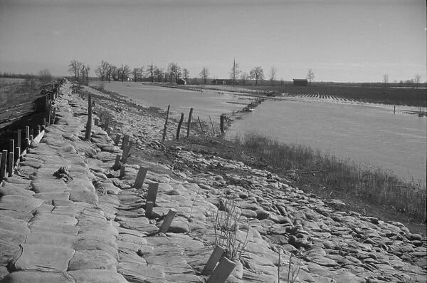 The Bessie Levee, along a subsidiary... Mississippi River, near Tiptonville, Tennessee, 1937. Creator: Walker Evans