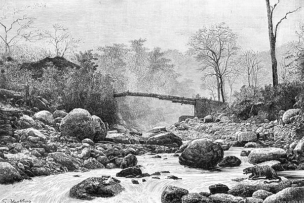 A bridge over the Rangit, a tributary of the river Teesta, India, 1895