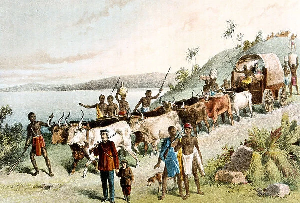 David Livingstone, Scottish missionary and African explorer, 1849 (c1878)