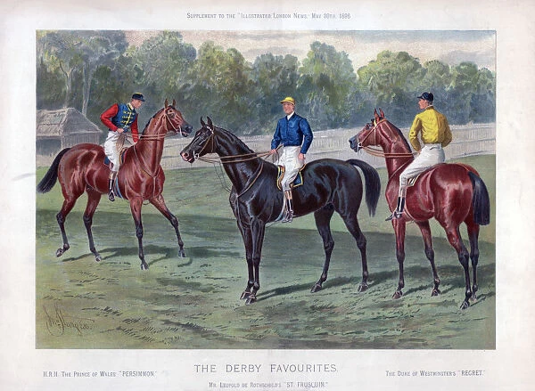 The Derby Favourites, 30 May 1896. Artist: John Sturgess