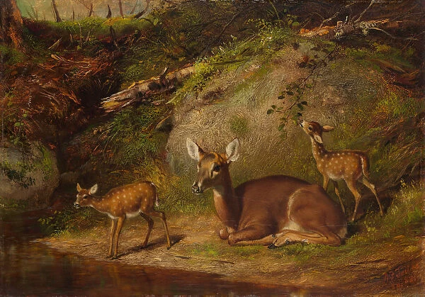 Doe and Two Fawns, 1882. Creator: Arthur Fitzwilliam Tait
