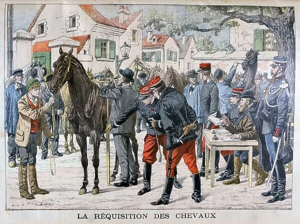 The French army buying horses, 1904