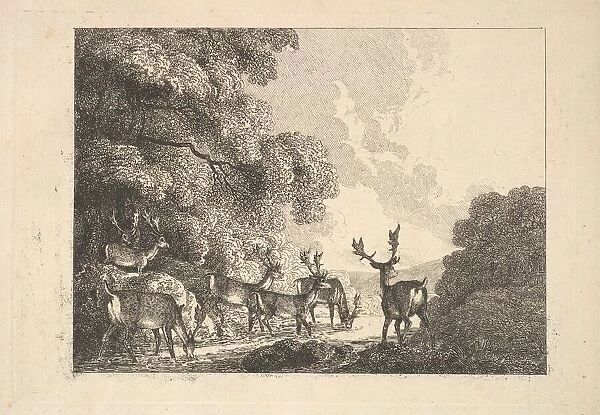 A Group of Stags Drinking, 1784-88. Creator: Thomas Rowlandson