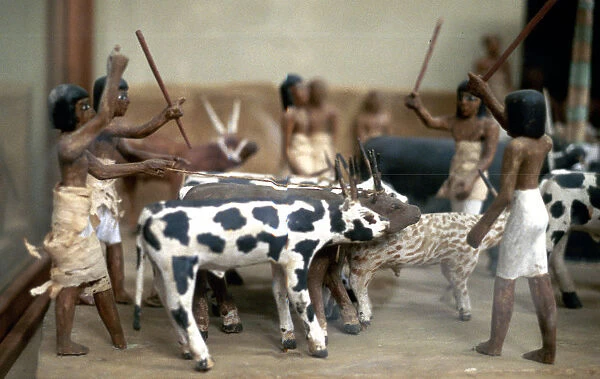 Herding cattle; Ancient Egyptian tomb model