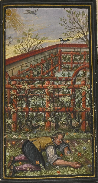 Illustration for The wonderful summer time of eternal life von Jacob Zader, 1603. Artist: Anonymous