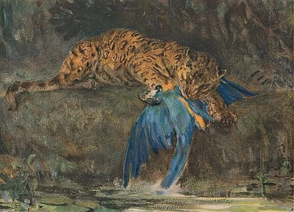Jaguar and Macaw, late 19th century. Artist: John MacAllan Swan