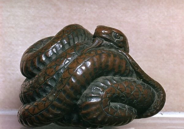 Japanese Netsuke of a snake, 19th century