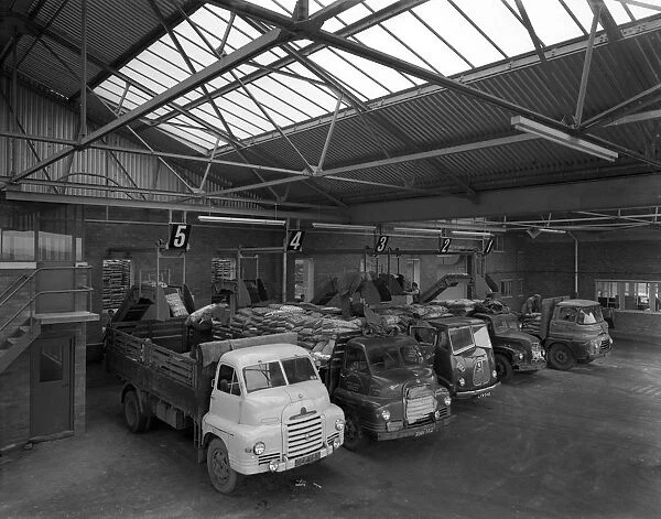 Line up of 1950s lorries at Spillers Animal Foods, Gainsborough, Lincolnshire, 1961