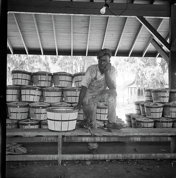 Migrant shed worker, Northeast Florida, 1936. Creator: Dorothea Lange