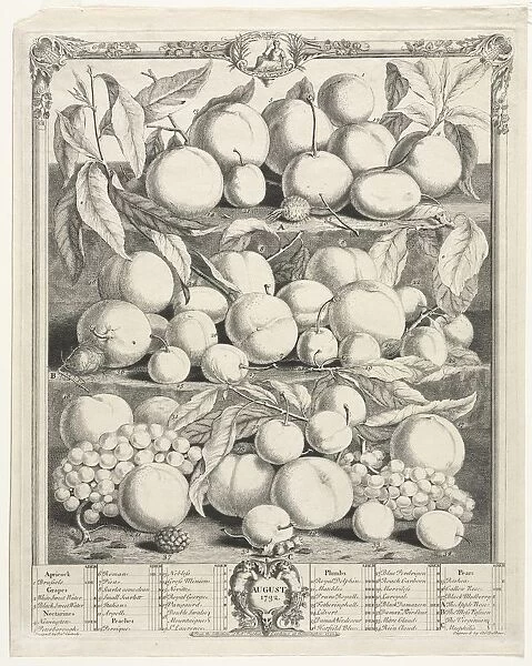 Twelve Months of Fruit: August, 1732. Creator: Henry Fletcher (British, active 1715-38)