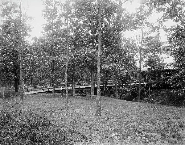 Picnic grounds at Lemont, Ill's. between 1900 and 1905. Creator: Unknown