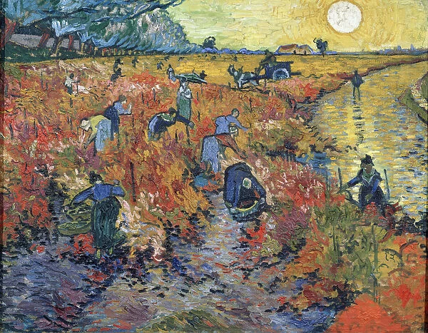 The Red Vineyards at Arles, 1888. Artist: Vincent van Gogh