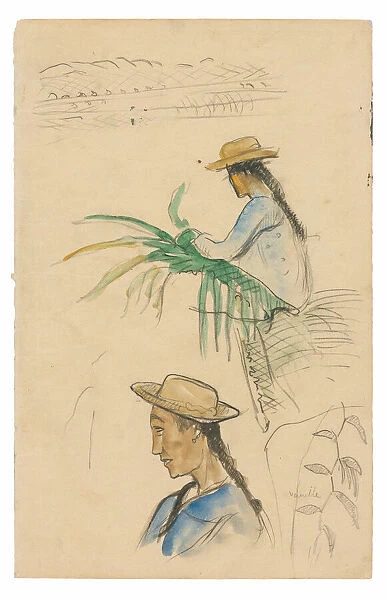 Sketches of Figures, Pandanus Leaf, and Vanilla Plant, 1891  /  93. Creator: Paul Gauguin