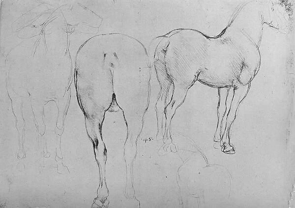 Four Sketches of Horses, c1480 (1945). Artist: Leonardo da Vinci