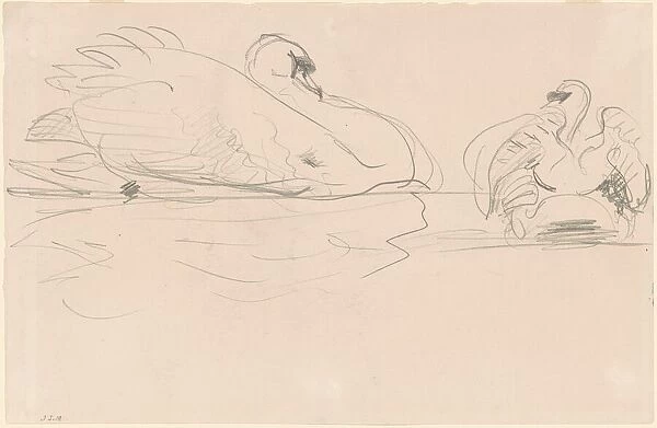 Swans in the Water, 1880-1900. Creator: John Singer Sargent