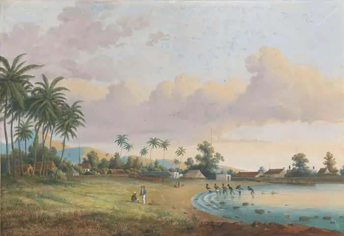 Framed Print : Print of a 19th-century landscape featuring a Carnation Java view