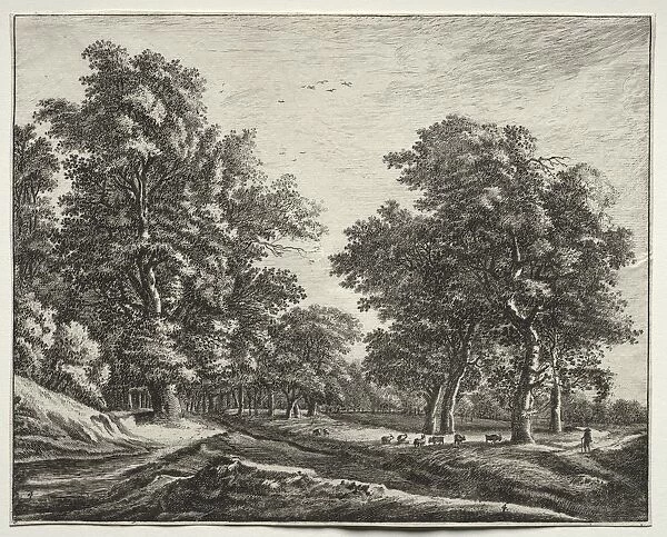 Six view in the wood of the Hague: Goats Under the Trees. Creator: Roelant Roghman (Dutch