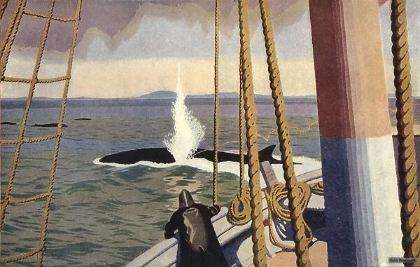 Whaling in the Antarctic. Creator: Keith Henderson